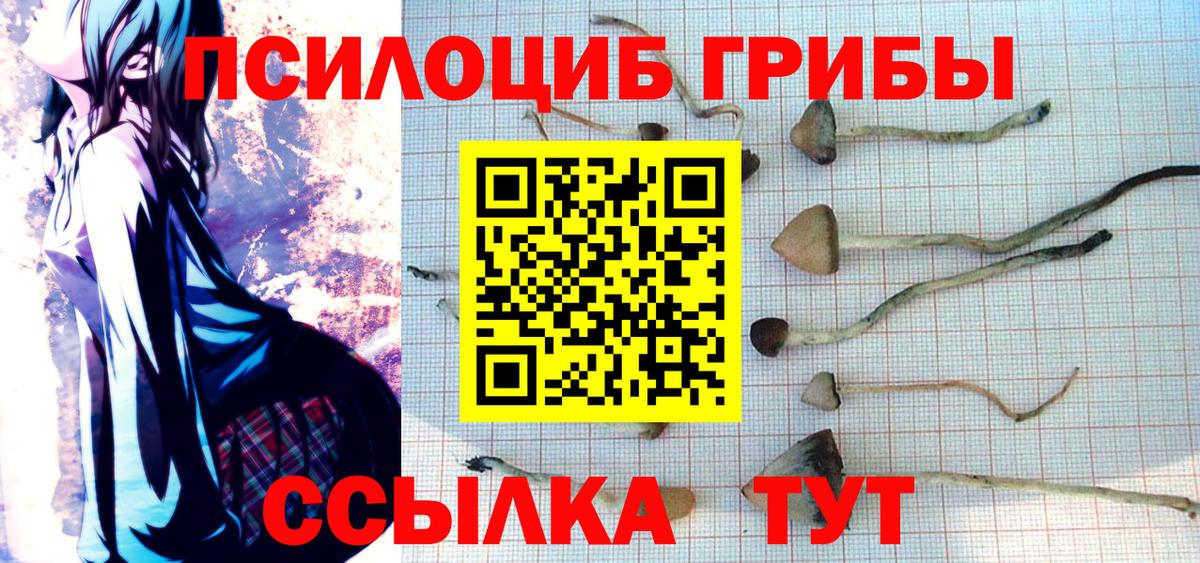 Галлюциногенные грибы MAGIC MUSHROOMS  Вход с VPN  Великий Устюг  Псилоцибиновые грибы MAGIC MUSHROOMS 