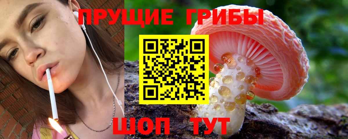 Псилоцибиновые грибы мицелий Великий Устюг